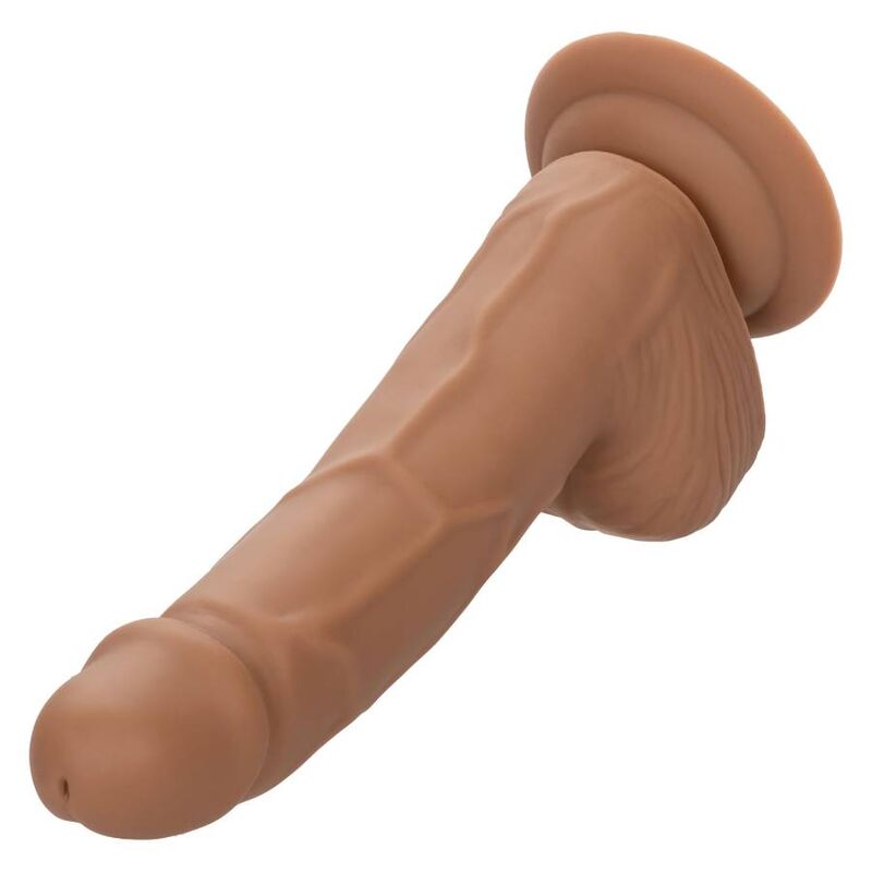 CalExotics Silicone Studs 6 Inch Dildo Brown