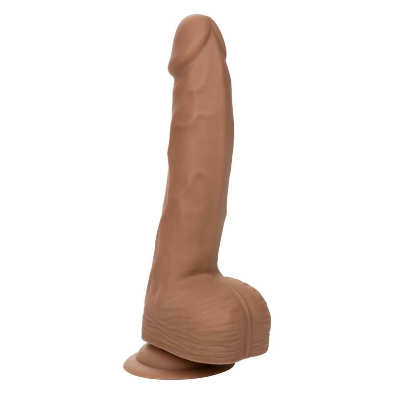 CalExotics Silicone Studs 8 Inch Dildo Brown