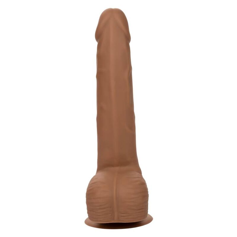 CalExotics Silicone Studs 8 Inch Dildo Brown