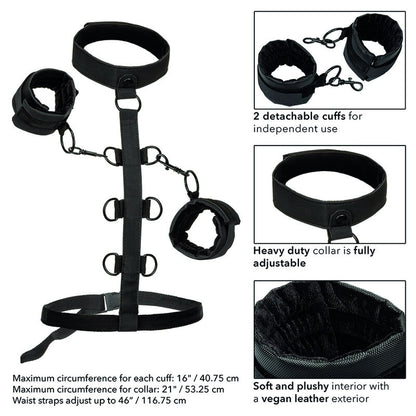 CalExotics Boundless Collar Body Restraint