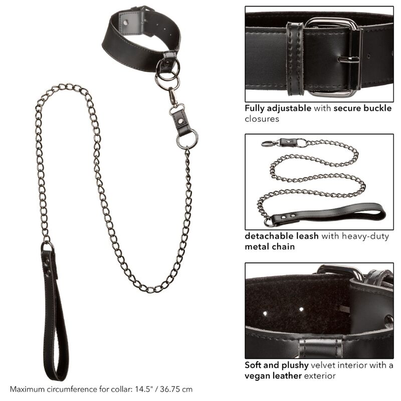 CalExotics Euphoria Collar With Chain Leash