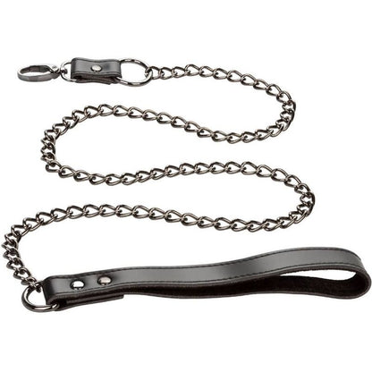 CalExotics Euphoria Collar With Chain Leash